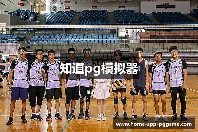 知道pg模拟器